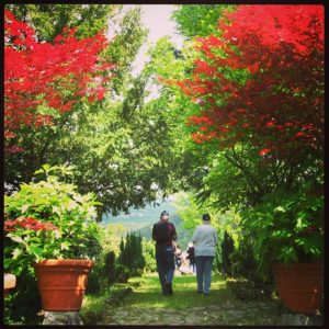 Spring in Garfagnana