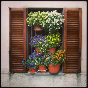 Springtime in Garfagnana